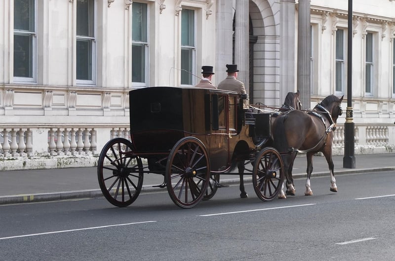 VIP Transport